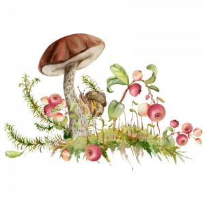 garden illustration for Blue Windmill Day Nursery in Rugby