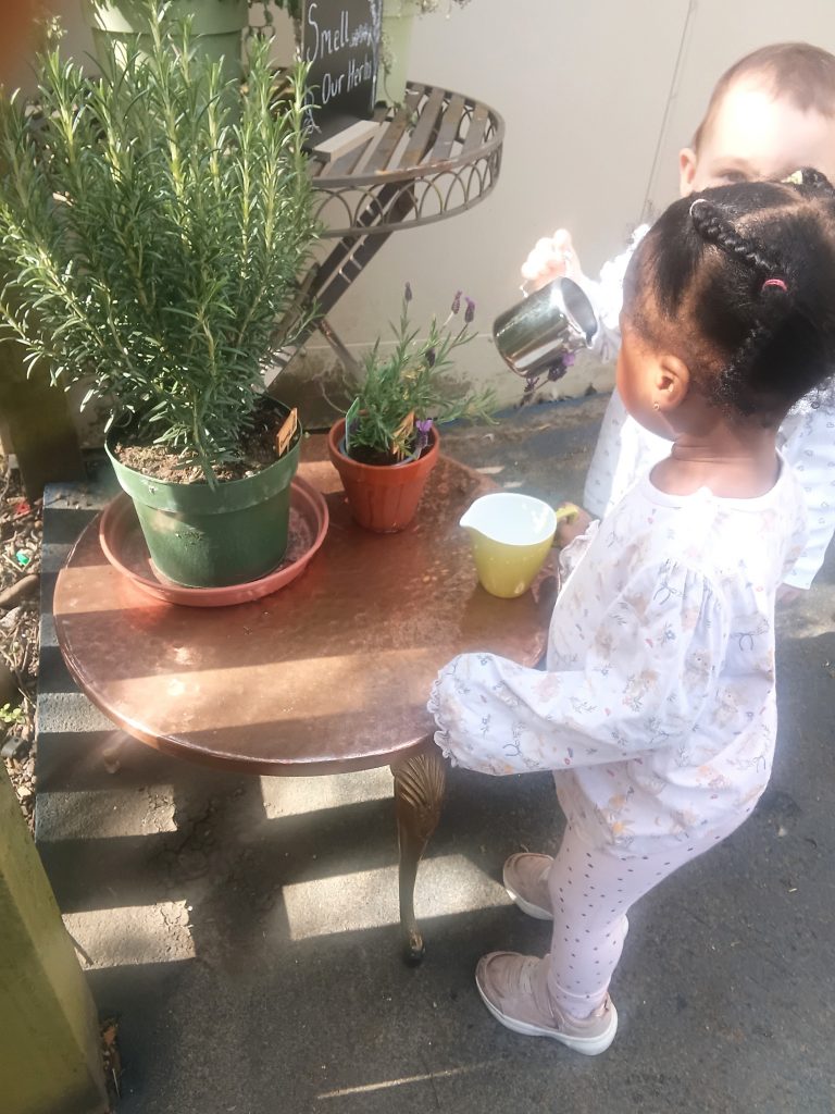 watering the plants in the garden at blue windmill nursery