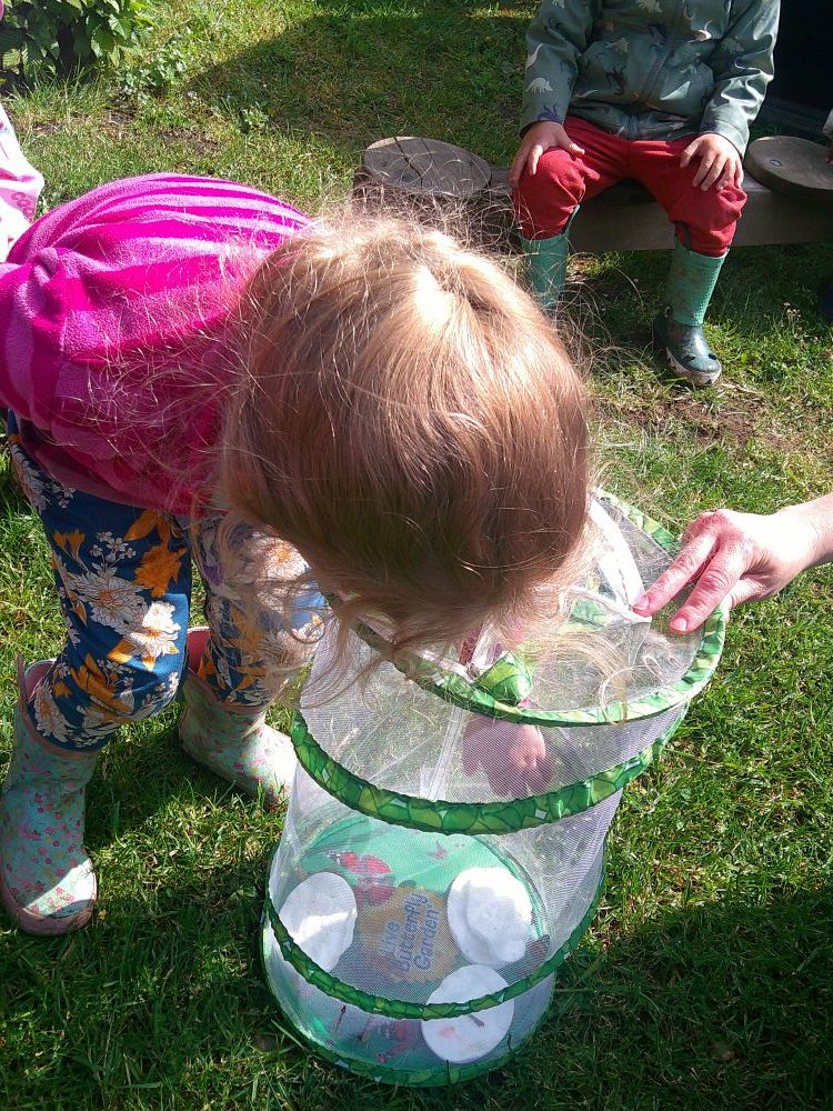 Releasing the Butterflies at Blue Windmill Nursery releasing butterflies at blue windmill nursery 2