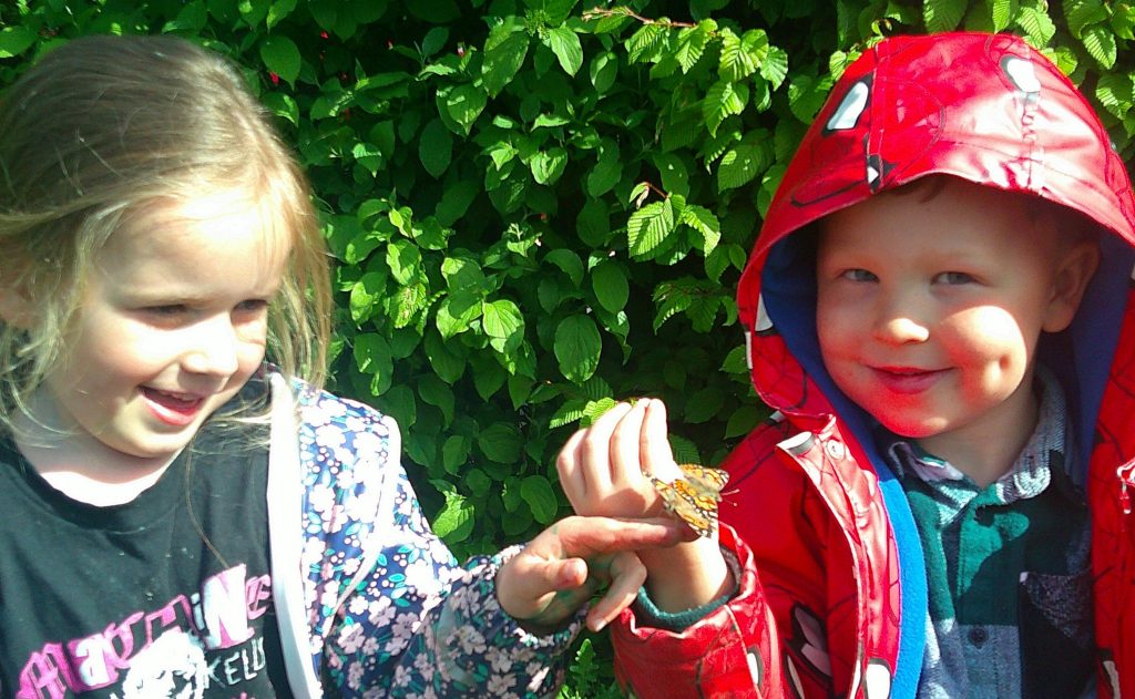 releasing the butterflies at blue windmill nursery