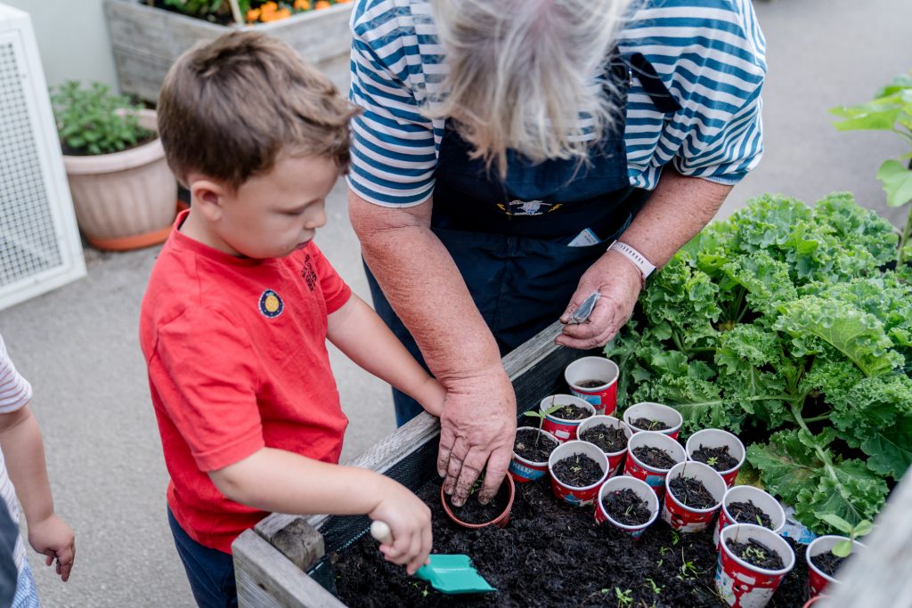 resident gardener wins rugby in bloom for blue windmill nursery resident gardener wins rugby in bloom for blue windmill nursery