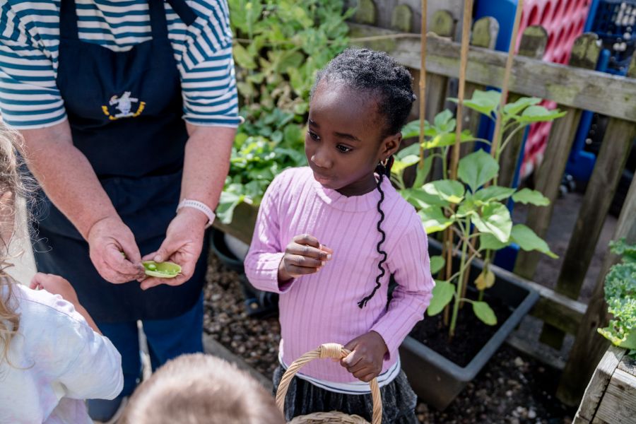 award winning nursery garden in rugby