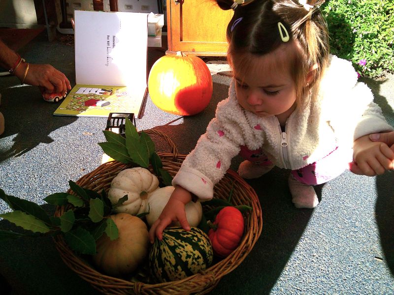 playing with pumpkins at nursery with families in rugby 4