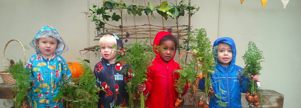 growing vegetables at nursery at blue windmill in rugby