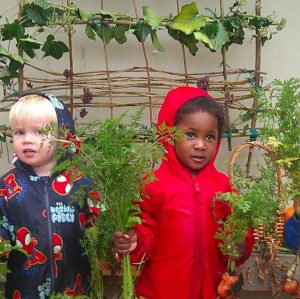 From Garden to Bowl: Making carrot soup at Blue Windmill Nursery