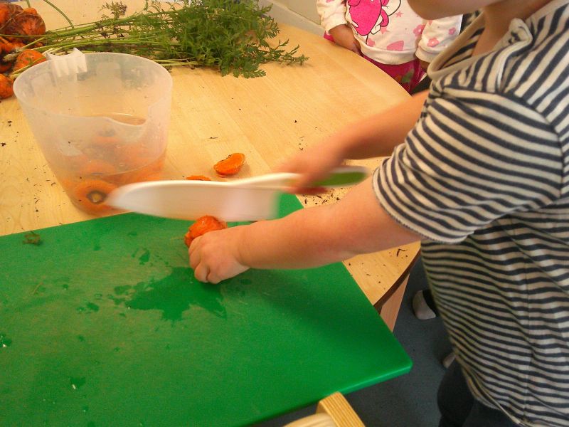 chopping carrots grown in the garden at blue windmill nursery in rugby