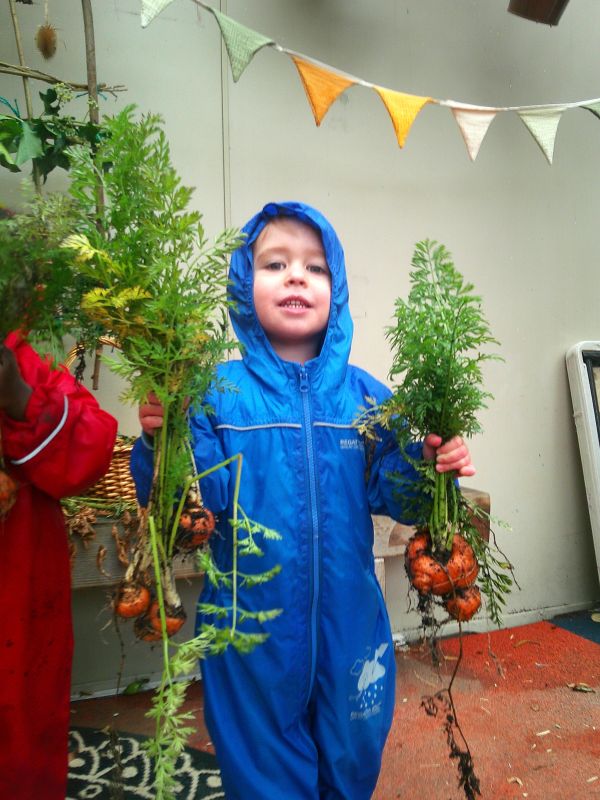 a little boy showing carrots at blue windmill nursery in rugby